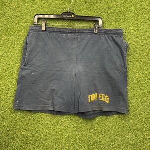Vintage 90s University of Toledo Shorts Mens XL College of Pharmacy Faded Sweats